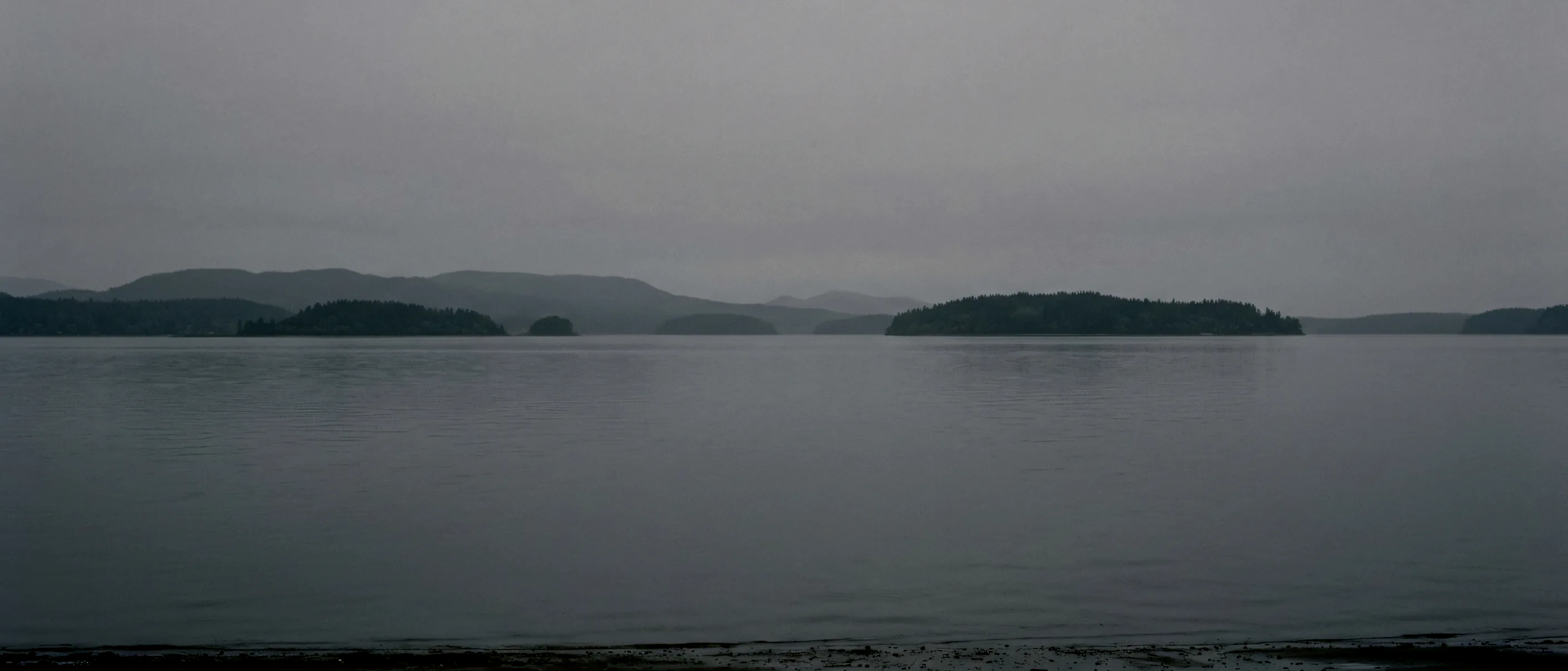 The Puget Sound shoreline on a flat grey morning, low water, a far headland and no boats.